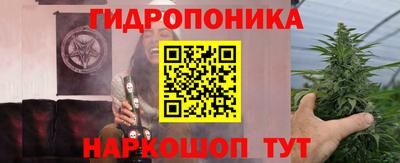 PSILOCYBIN Будённовск